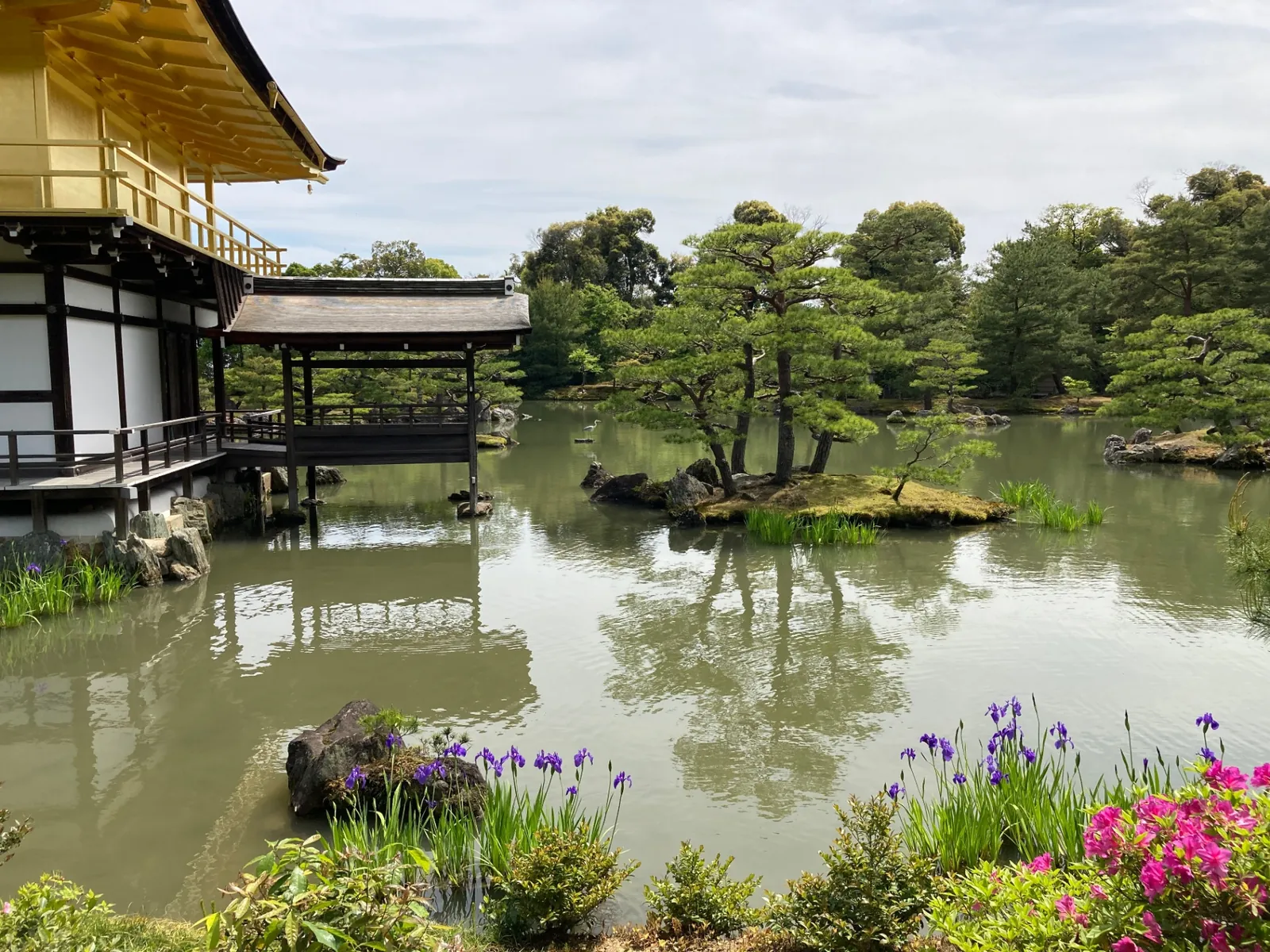 Kyōko-chi mirror pond with pines and irises at Kinkaku-ji